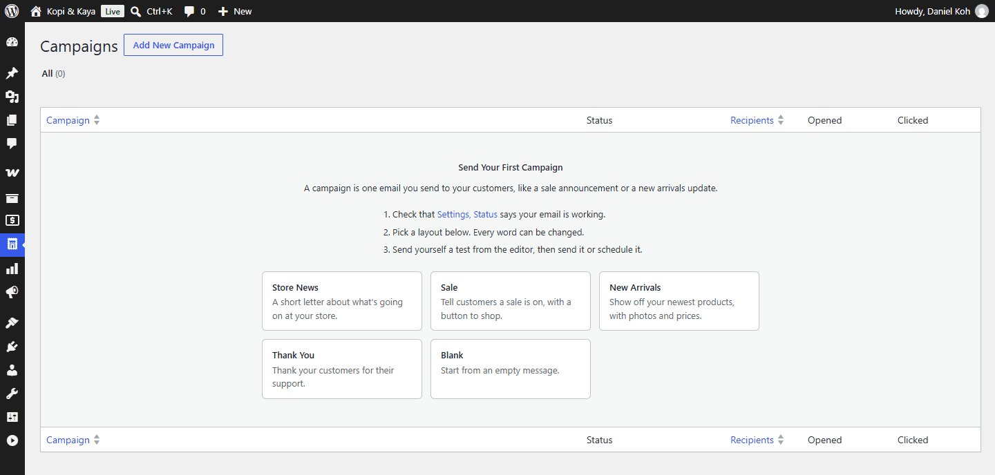 Send Your First Campaign: check that email works, pick a layout (Store News, Sale, New Arrivals, Thank You or Blank), then send yourself a test.